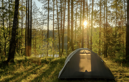 what to look for in a tent