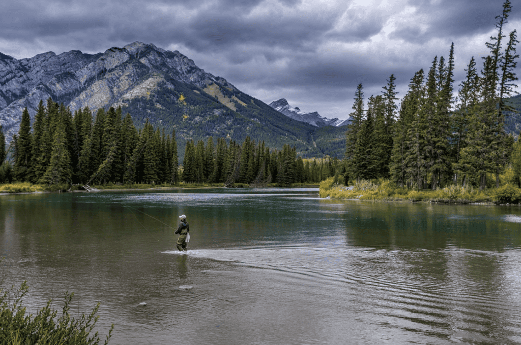 national parks for this summer